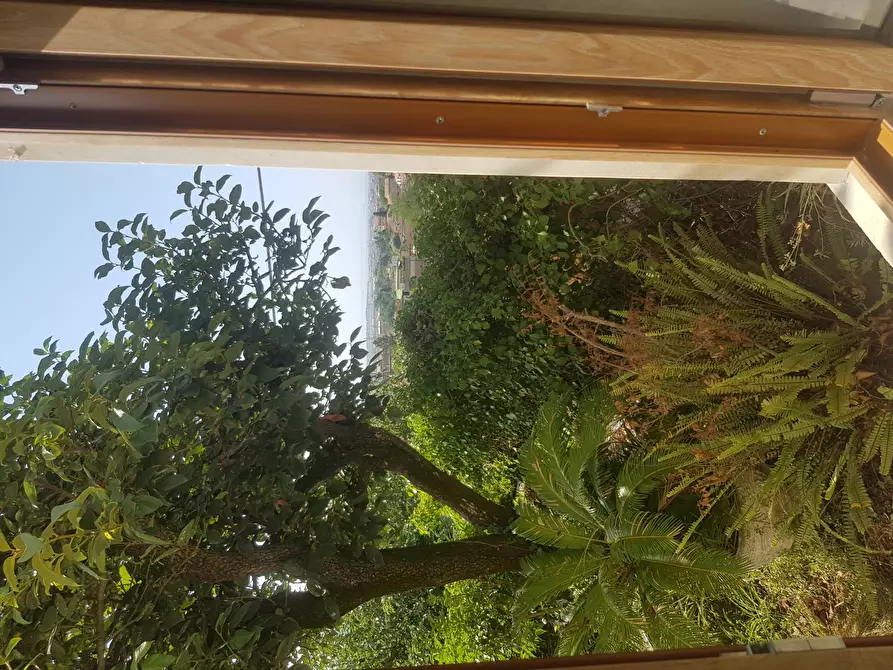 Immagine 27 di Villa in vendita  a Carrara