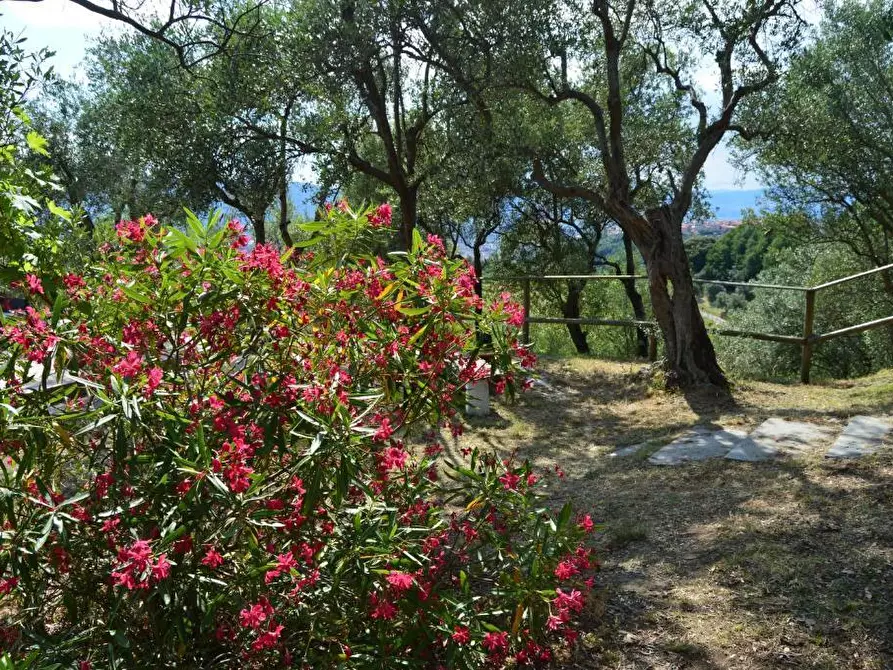 Immagine 22 di Villa in vendita  a Castelnuovo Magra