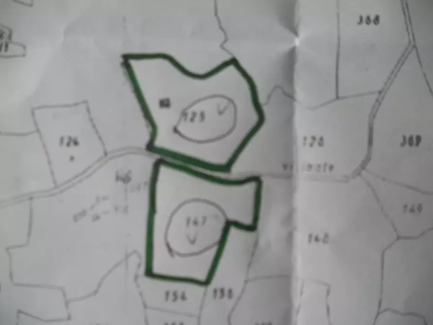 Immagine 8 di Terreno agricolo in vendita  a Castelnuovo Magra