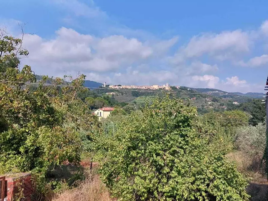 Immagine 8 di Terratetto in vendita  a Castelnuovo Magra