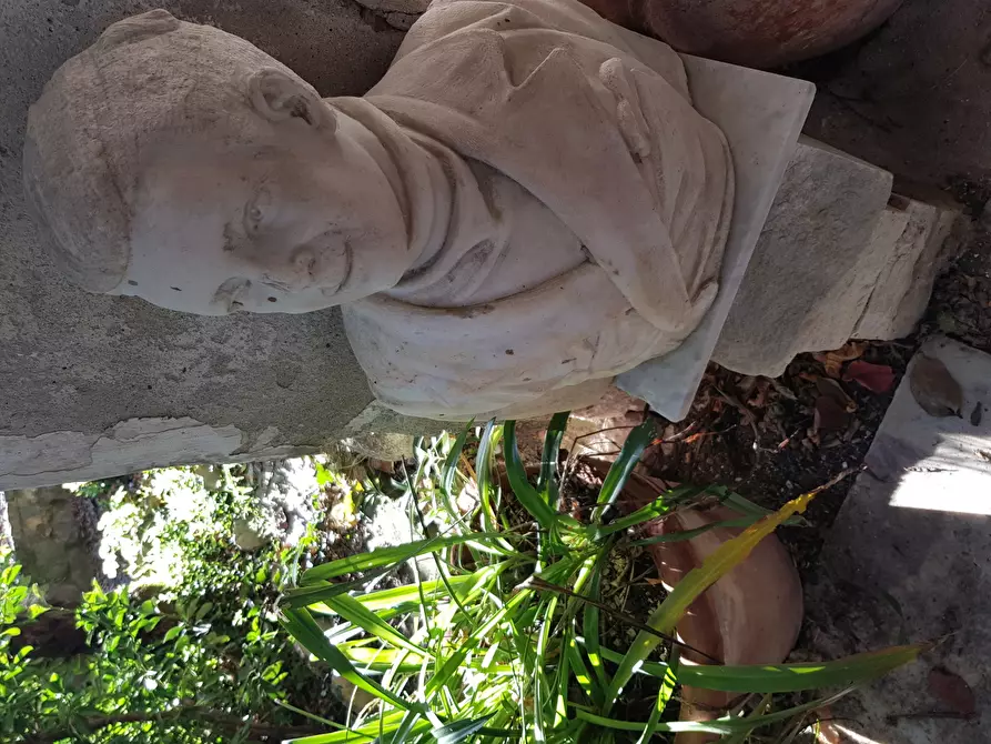 Immagine 61 di Villa in vendita  a Carrara