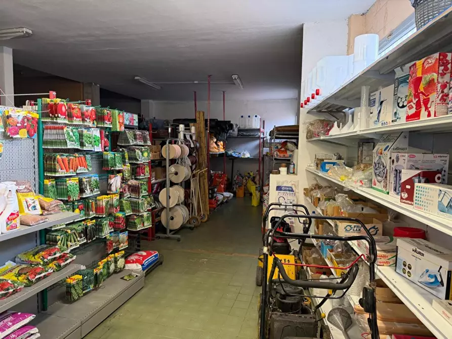 Immagine 6 di Capannone industriale in vendita  a Castelnuovo Magra