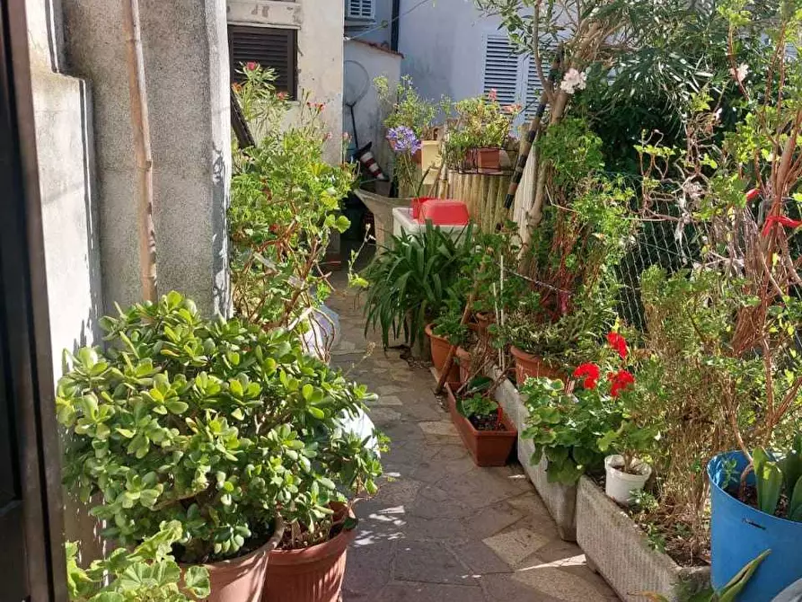 Immagine 18 di Terratetto in vendita  a Ameglia