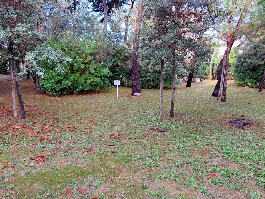 Immagine 40 di Terratetto in vendita  a Massa