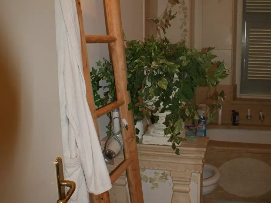 Immagine 13 di Terratetto in vendita  a Ameglia