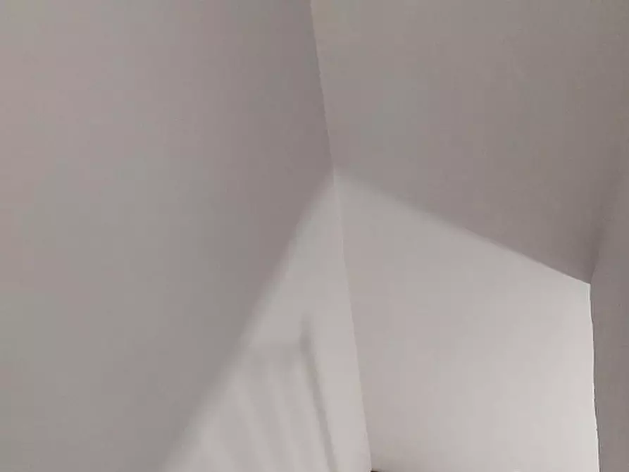 Immagine 27 di Terratetto in vendita  a Massa