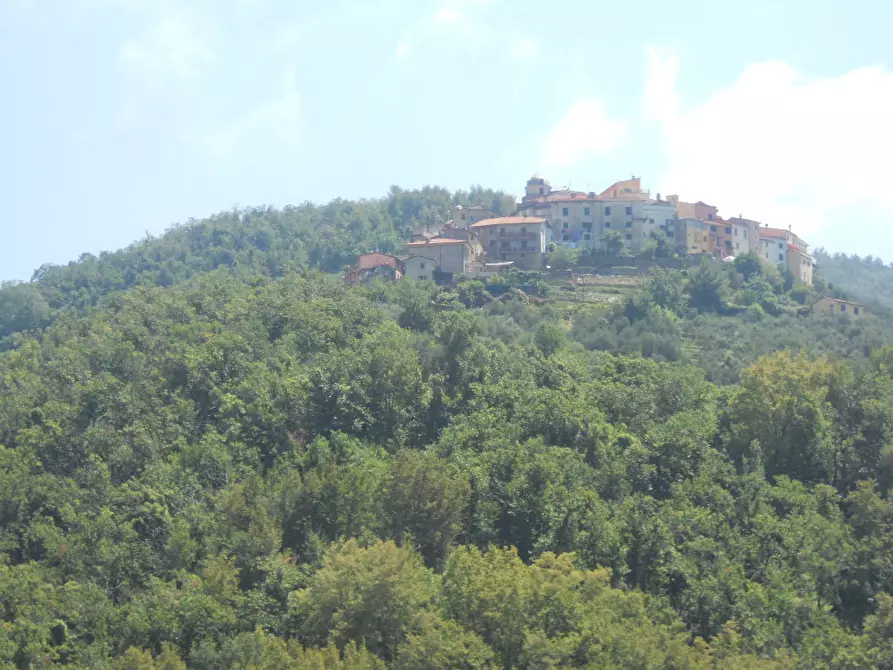 Immagine 9 di Terratetto in vendita  a Ortonovo