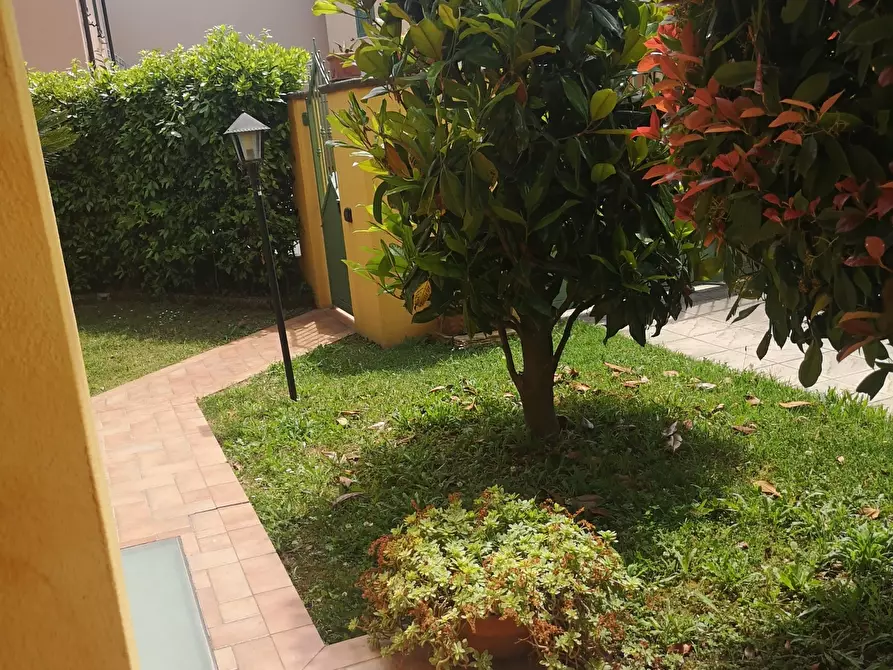 Immagine 31 di Terratetto in vendita  a Castelnuovo Magra