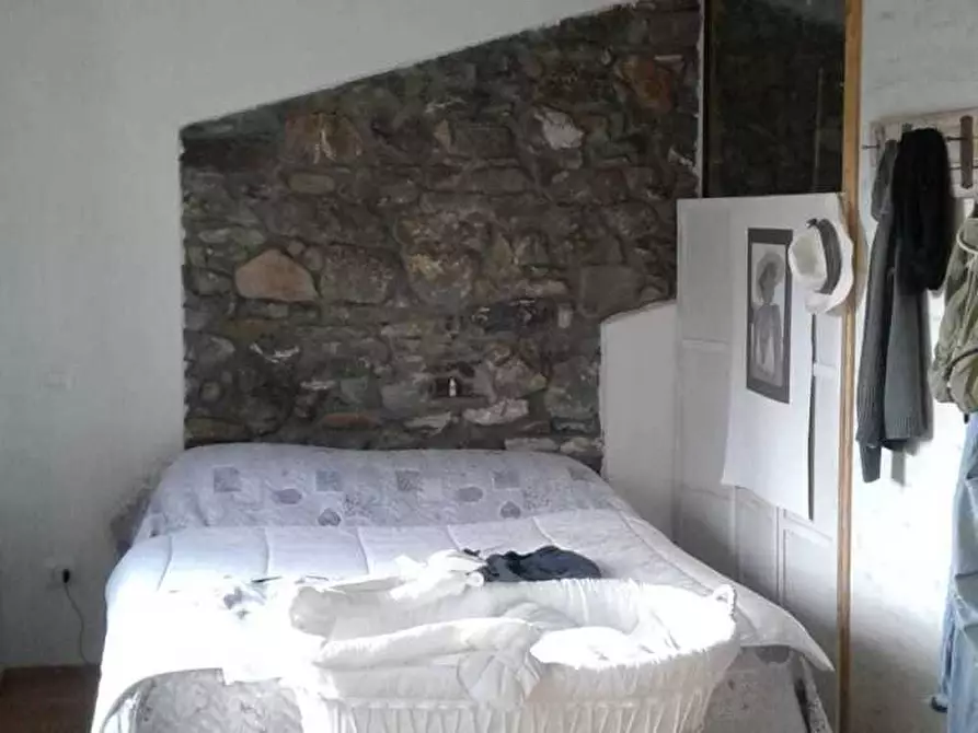 Immagine 5 di Casa colonica in vendita  a Castelnuovo Magra