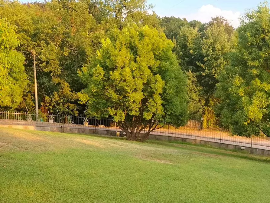 Immagine 47 di Terratetto in vendita  a Castelnuovo Magra