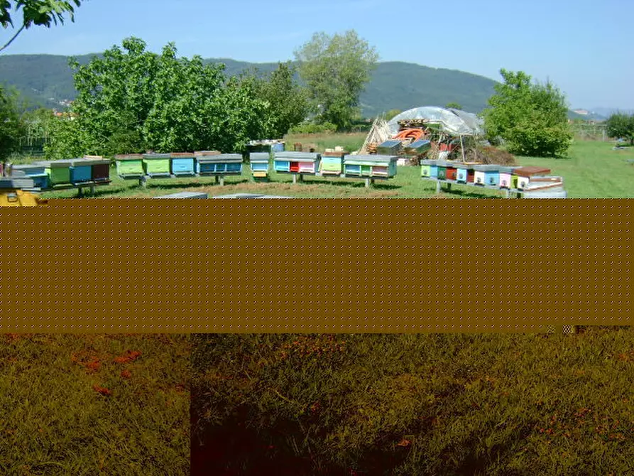 Immagine 14 di Villa in vendita  a Ameglia