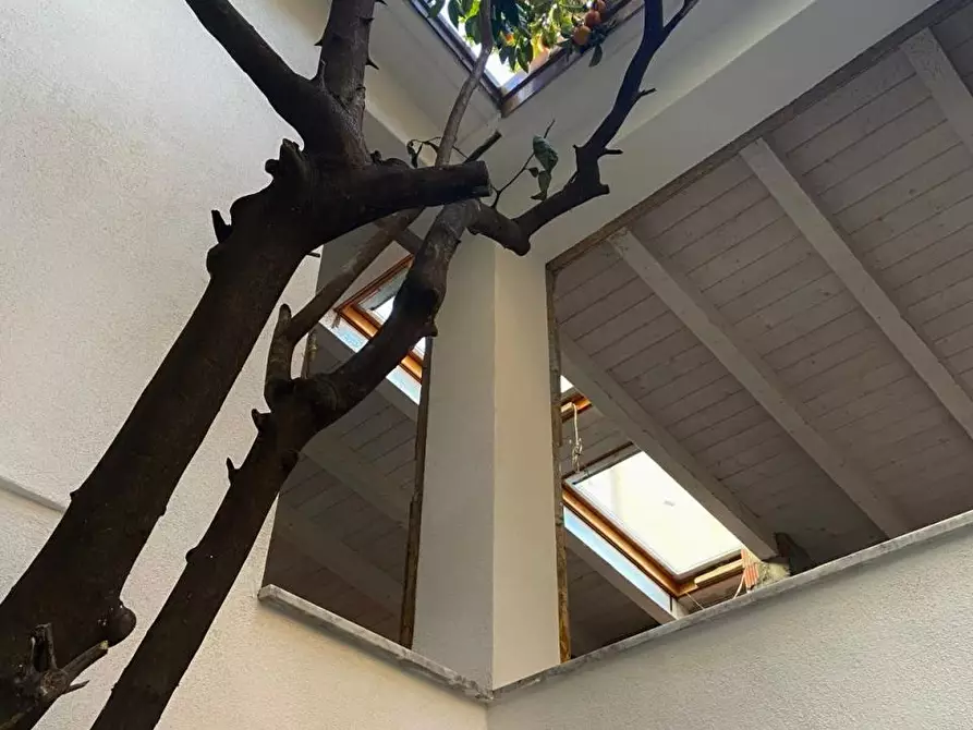 Immagine 25 di Casa indipendente in vendita  a Sarzana