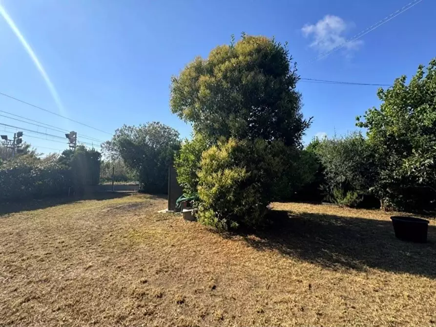 Immagine 31 di Villa in vendita  a Viareggio