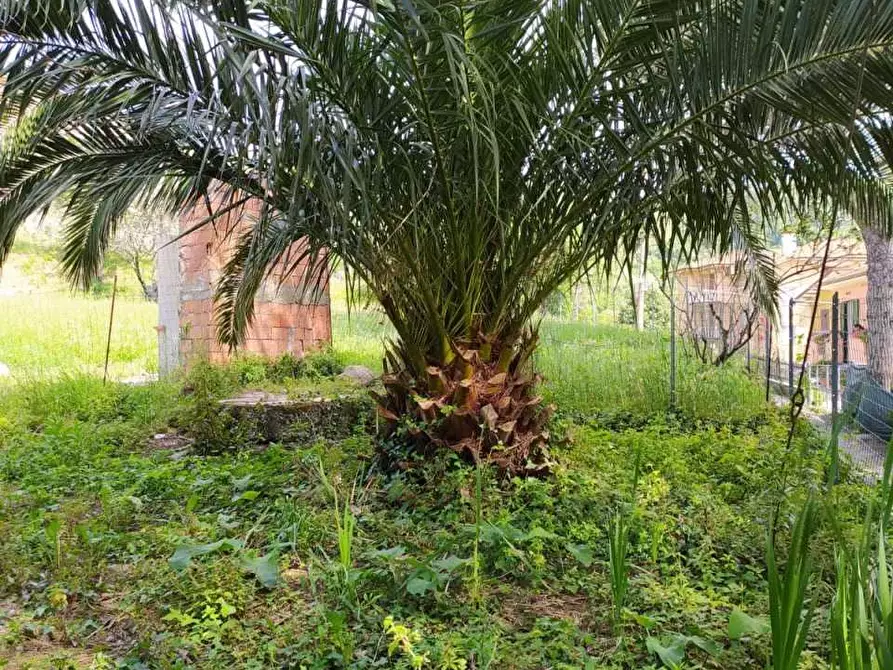 Immagine 6 di Casa indipendente in vendita  a Sarzana