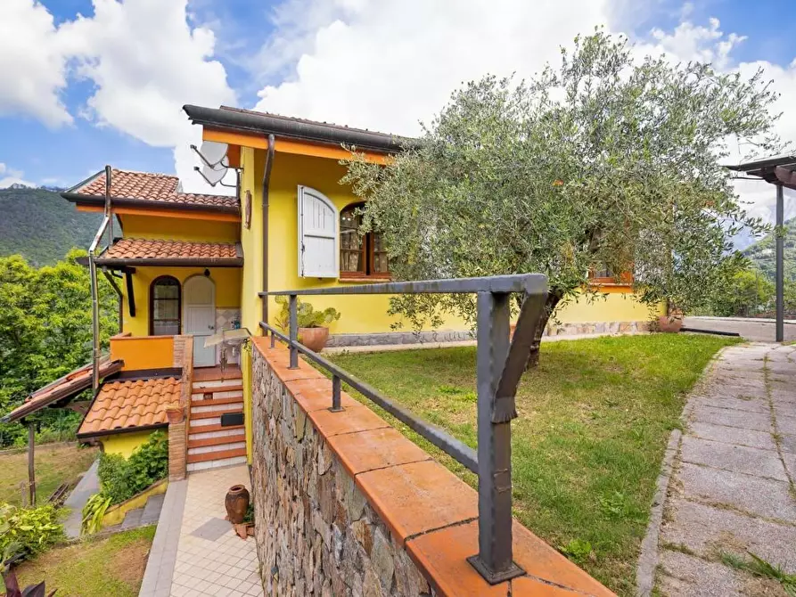 Immagine 4 di Villa in vendita  a Massa