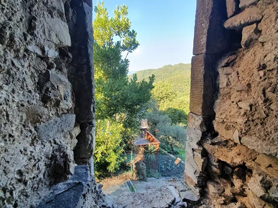 Immagine 9 di Rustico / casale in vendita  a Fosdinovo