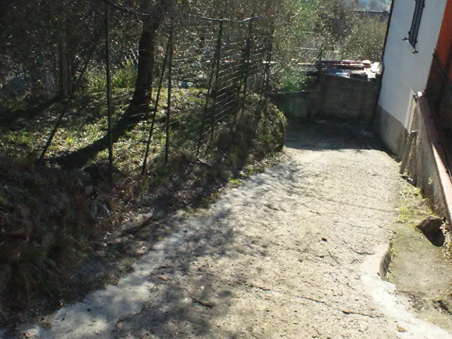 Immagine 35 di Terratetto in vendita  a Ortonovo