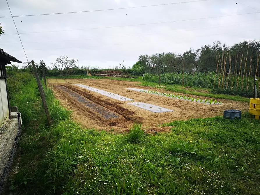 Immagine 17 di Terratetto in vendita  a Castelnuovo Magra