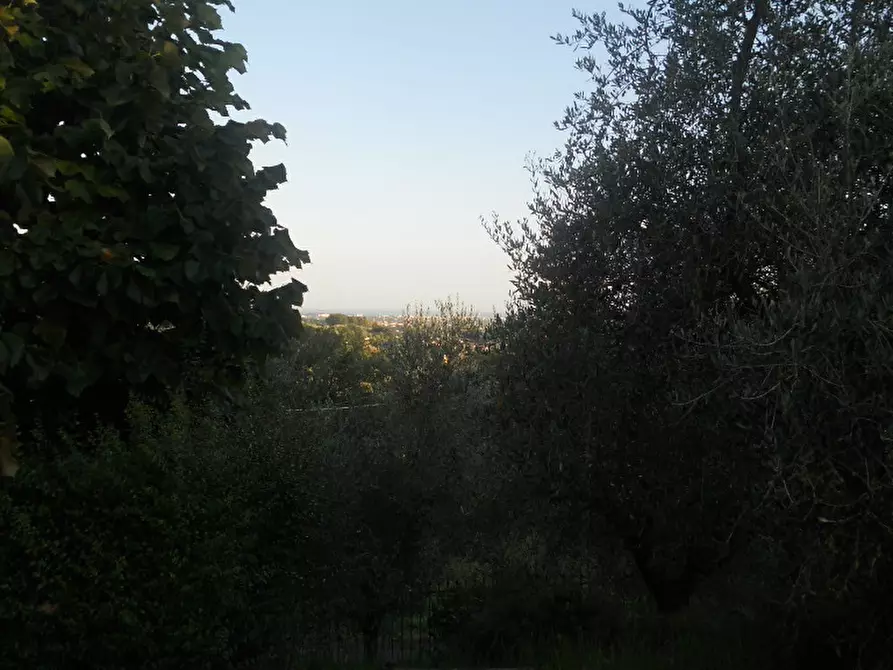 Immagine 73 di Villa in vendita  a Castelnuovo Magra