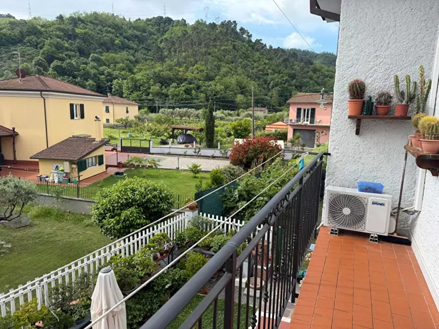 Immagine 16 di Terratetto in vendita  a Arcola