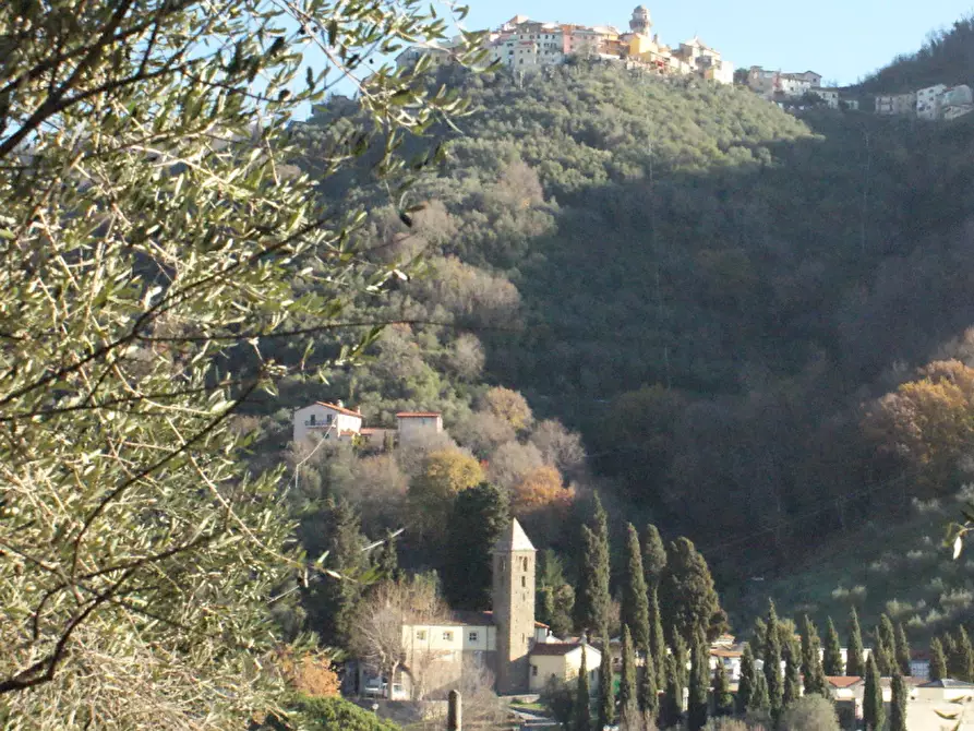 Immagine 32 di Terratetto in vendita  a Ortonovo