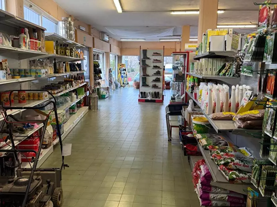 Immagine 14 di Capannone industriale in vendita  a Castelnuovo Magra