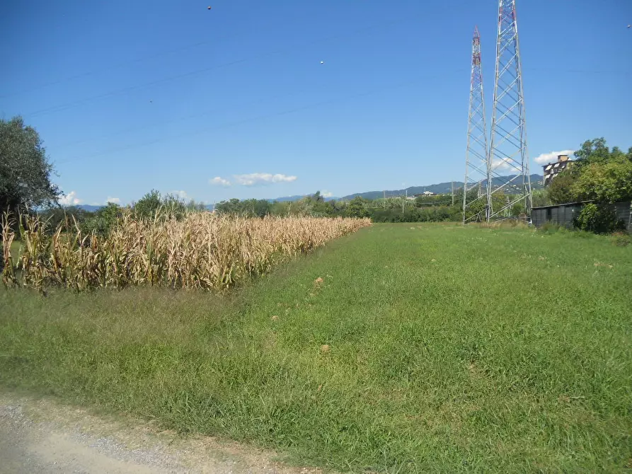 Immagine 1 di Terreno agricolo in vendita  a Castelnuovo Magra