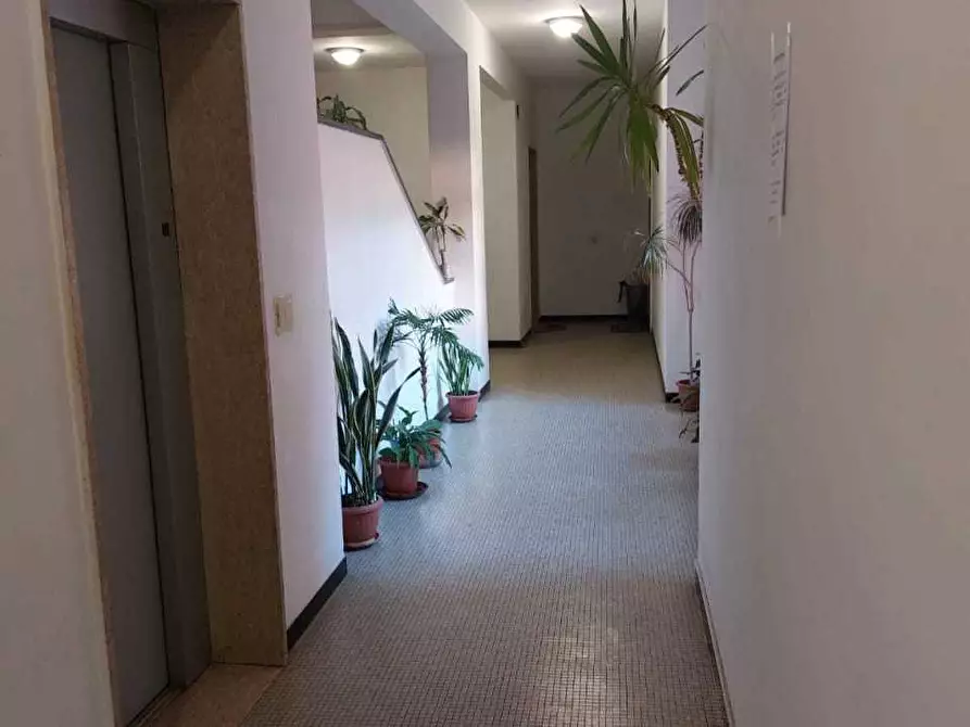 Immagine 17 di Appartamento in vendita  a Carrara