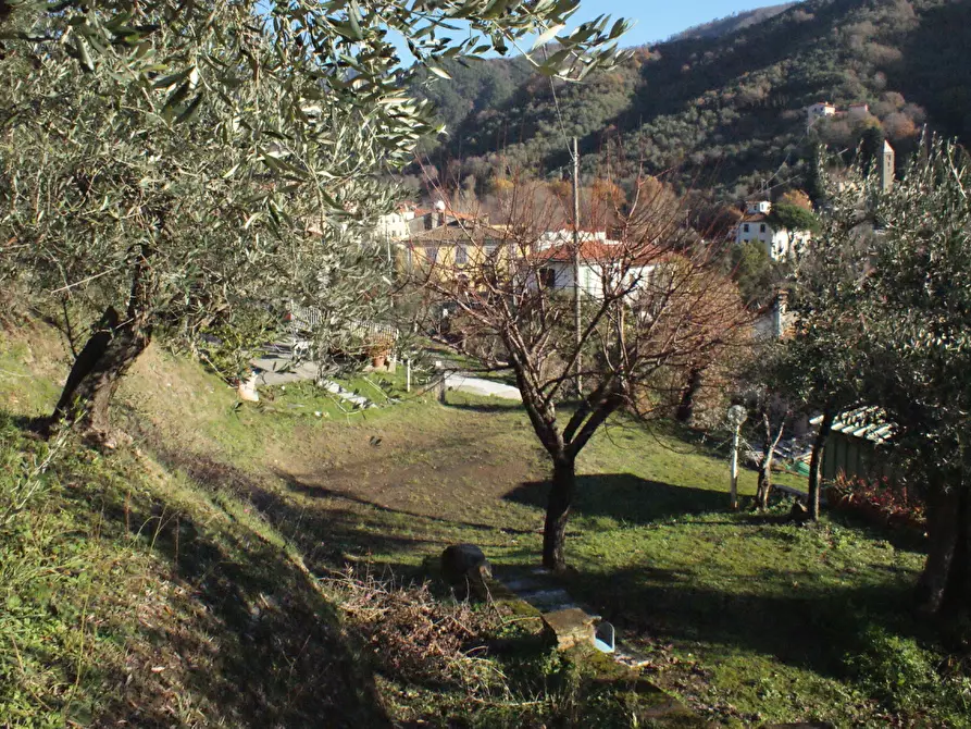 Immagine 31 di Terratetto in vendita  a Ortonovo