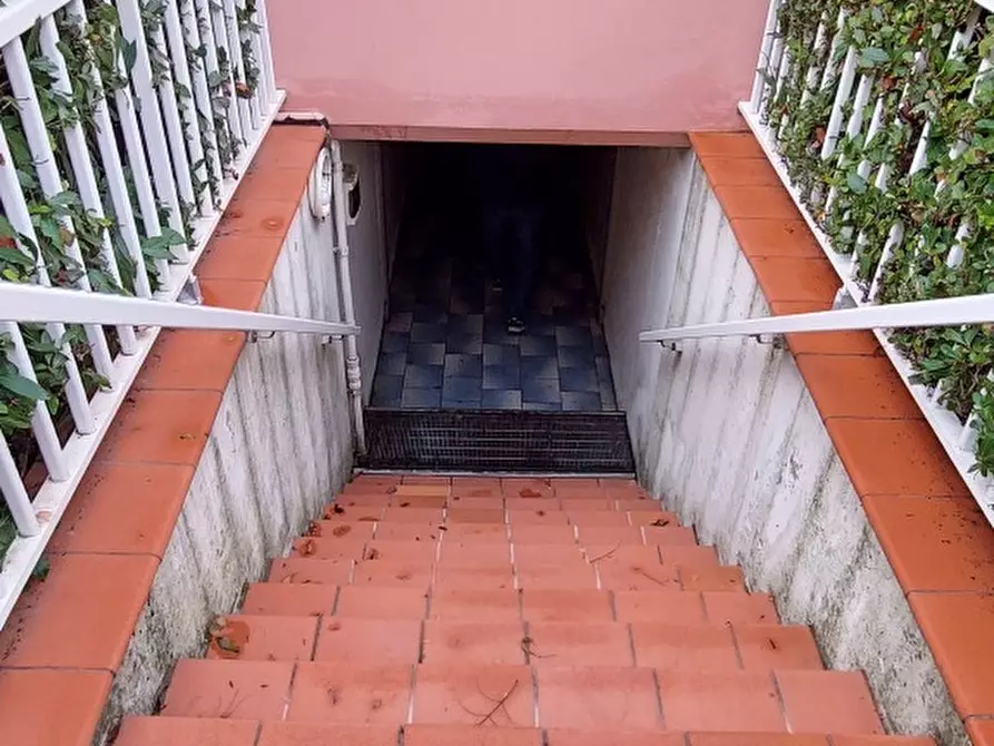 Immagine 36 di Terratetto in vendita  a Massa