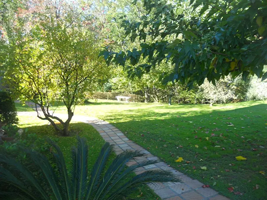 Immagine 5 di Villa in vendita  a Sarzana