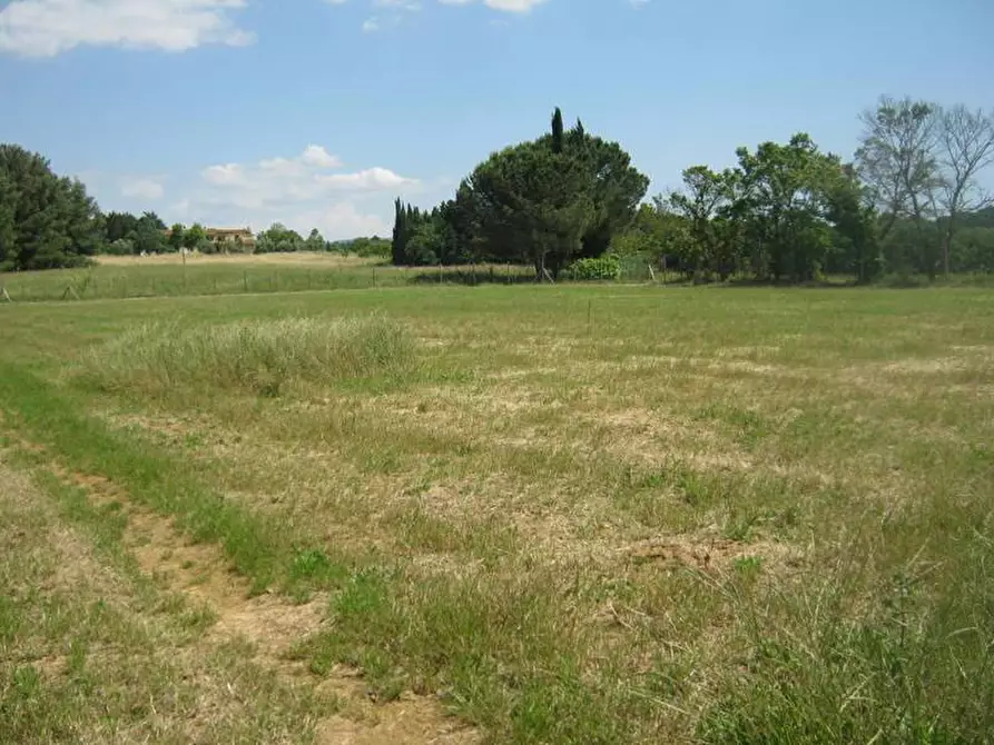 Immagine 1 di Azienda agricola in vendita  a Fauglia