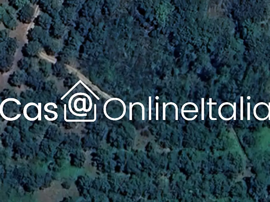 Immagine 2 di Terreno edificabile in vendita  in Tuoro sul Trasimeno a Tuoro Sul Trasimeno