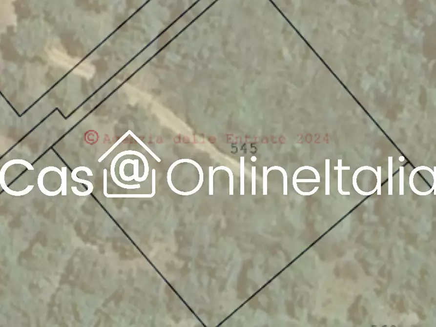 Immagine 3 di Terreno edificabile in vendita  in Tuoro sul Trasimeno a Tuoro Sul Trasimeno