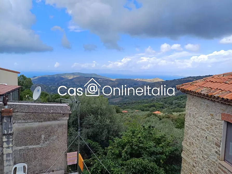 Immagine 21 di Terratetto in vendita  in Perdifumo a Moio Della Civitella