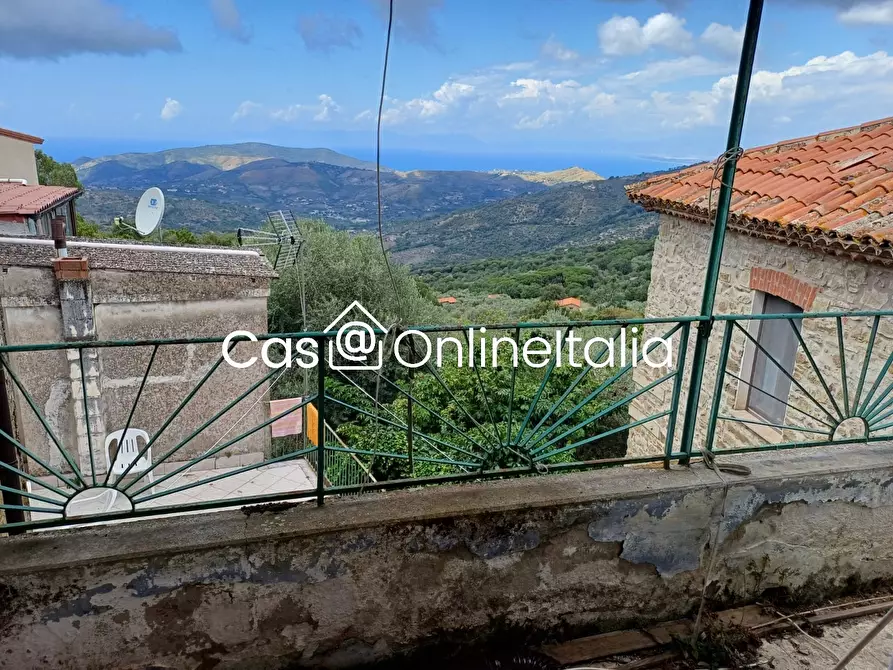 Immagine 20 di Terratetto in vendita  in Perdifumo a Moio Della Civitella