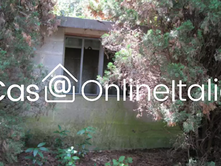 Immagine 5 di Casa bifamiliare in vendita  in Via del Monticello 157 a Massarosa