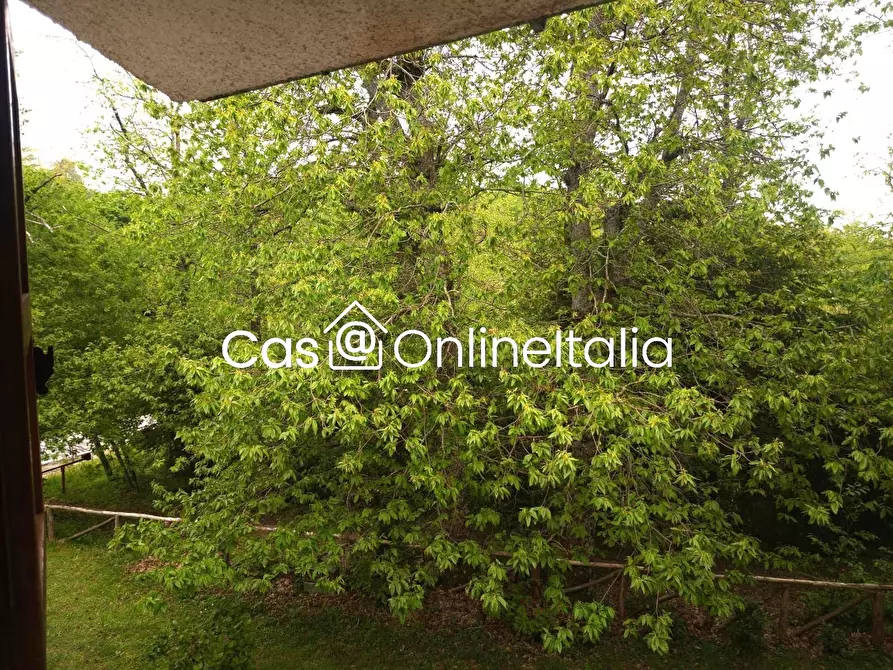 Immagine 14 di Appartamento in vendita  in Via Mammianese 390 a Marliana