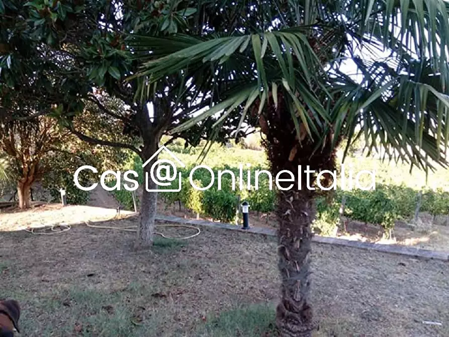 Immagine 89 di Casa bifamiliare in vendita  in Via Dell'Anguillara 13 a Magione