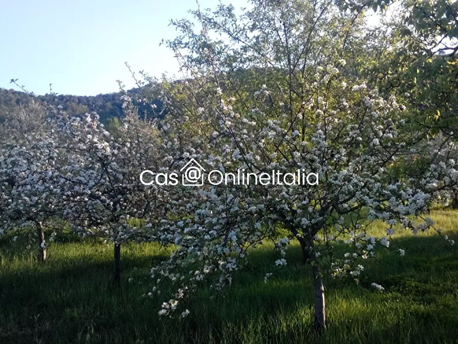 Immagine 90 di Casa bifamiliare in vendita  in Via Dell'Anguillara 13 a Magione