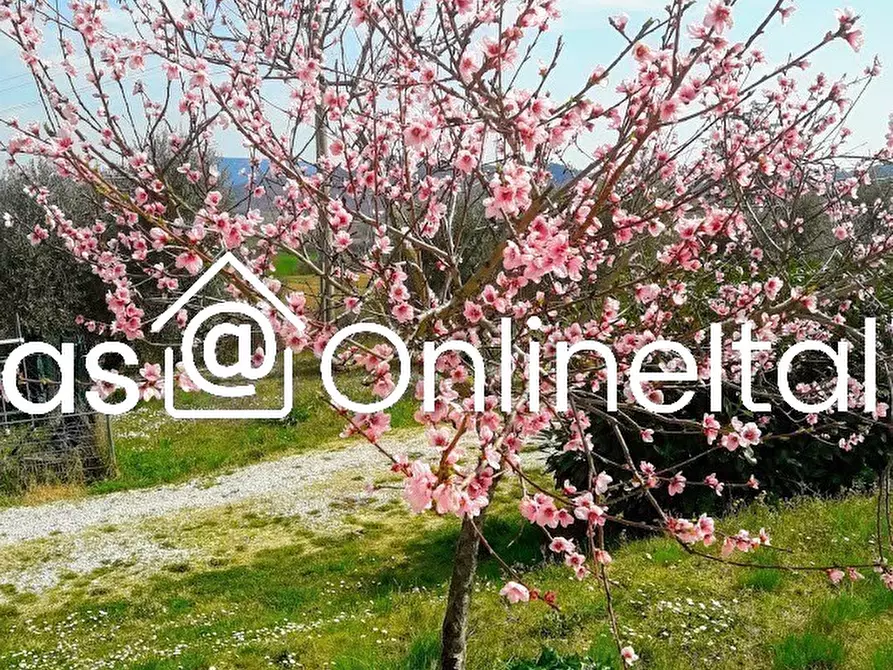 Immagine 101 di Casa bifamiliare in vendita  in Via Dell'Anguillara 13 a Magione