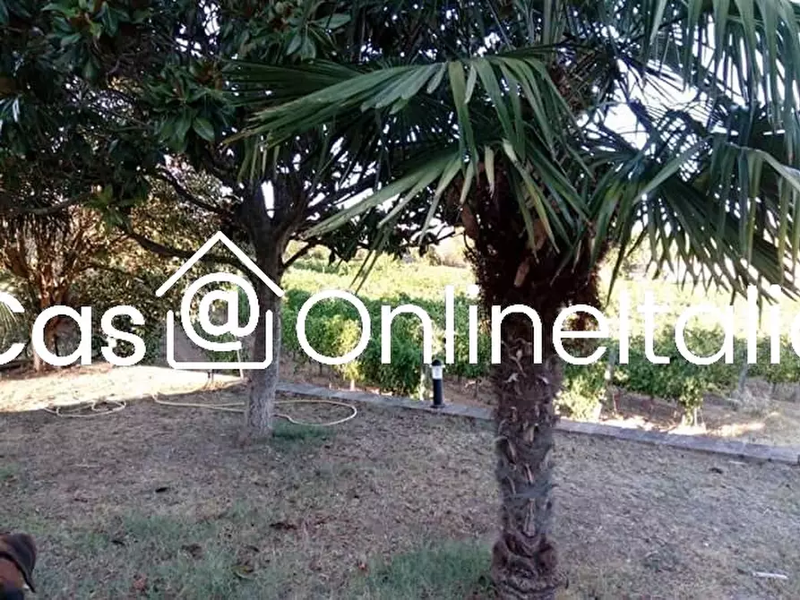 Immagine 102 di Casa bifamiliare in vendita  in Via Dell'Anguillara 13 a Magione