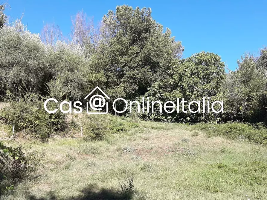 Immagine 99 di Casa bifamiliare in vendita  in Via Dell'Anguillara 13 a Magione
