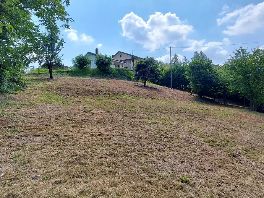 Immagine 5 di Villa in vendita  in montaldo a Montaldo Torinese