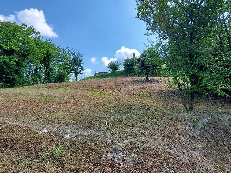 Immagine 3 di Villa in vendita  in montaldo a Montaldo Torinese