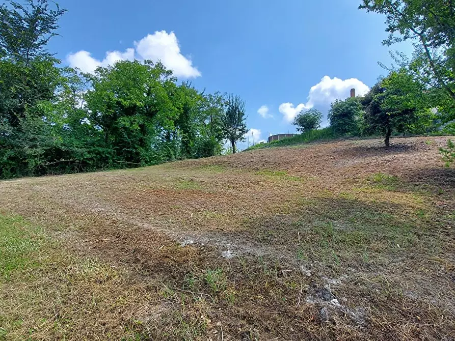 Immagine 4 di Villa in vendita  in montaldo a Montaldo Torinese