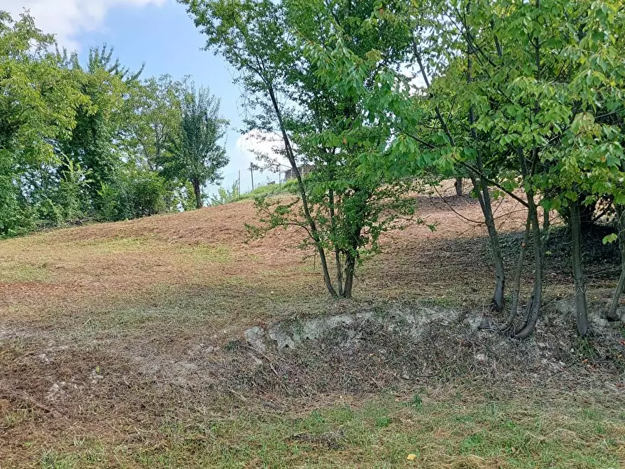 Immagine 2 di Villa in vendita  in montaldo a Montaldo Torinese