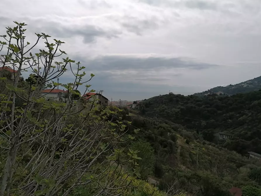 Immagine 3 di Terreno edificabile in vendita  in regione Valbona 38 a Alassio