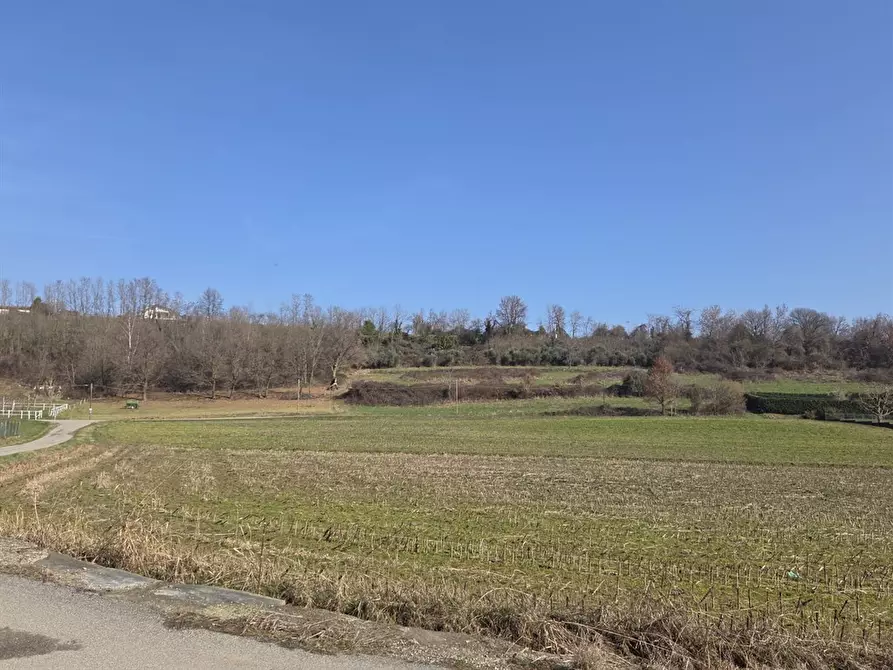 Immagine 2 di Casa indipendente in vendita  in Strada Vecchia di Bricherasio a Luserna San Giovanni