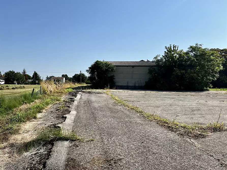 Immagine 2 di Attività commerciale in vendita  in via bassa 225 a Argenta
